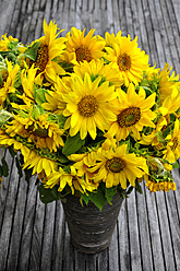 Germany, Bunch of sunflowers in vase, close up - AXF000034