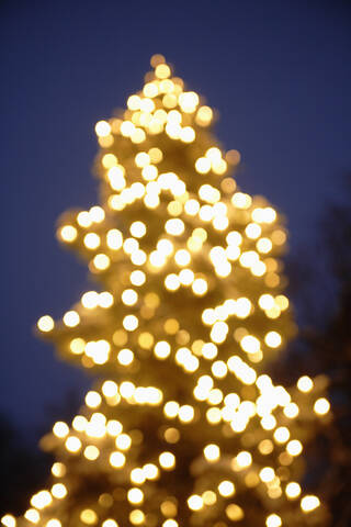 Deutschland, Bayern, München, Weihnachtsbaum bei Nacht, lizenzfreies Stockfoto