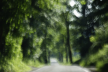 Germany, Bavaria, Country road through tree-lined, blurred motion - TCF002490