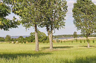 Deutschland, Sachsen, Blick auf Solarmodule - MJF000022