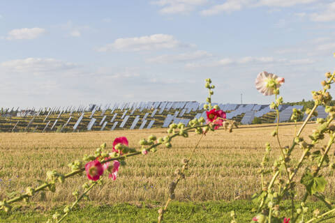 Deutschland, Sachsen, Blick auf Solarmodule, lizenzfreies Stockfoto