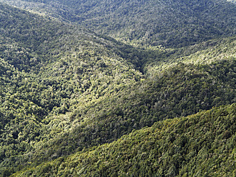 Spanien, La Gomera, Blick auf den Lorbeerwald im Nationalpark Garajonay - SIEF002571