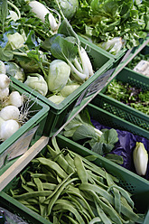 Germany, Bavaria, Variety of vegetables at organic food store - TCF002512