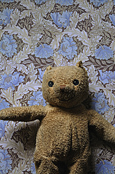 Deutschland, Bayern, Alter Teddybär auf floralem Muster - AXF000065