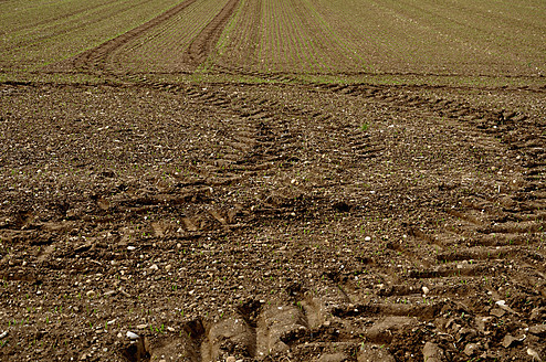 Deutschland, Bayern, Blick auf Traktorspuren im Feld - AXF000067