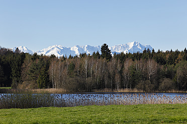 Deutschland, Bayern, Blick auf Neuberger Weiher und Almen - SIEF002579