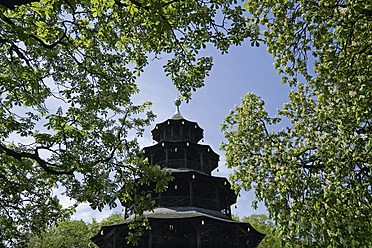 Deutschland, Bayern, München, Rosskastanienbaum mit chinesischem Turm im Hintergrund - TCF002555