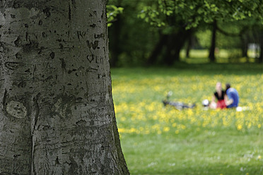 Deutschland, Bayern, München, Menschen entspannen sich im Englischen Garten - TCF002607