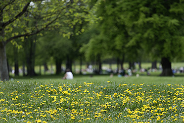 Deutschland, Bayern, München, Menschen entspannen sich im Englischen Garten - TCF002558
