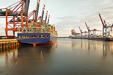 Deutschland, Hamburg, Blick auf den Containerhafen - MSF002675