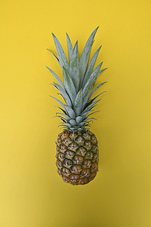 Ananas auf gelbem Hintergrund - AXF000083