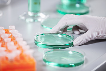 Germany, Bavaria, Munich, Scientist with test tube rack and petri dishes doing medical research - RBF000892