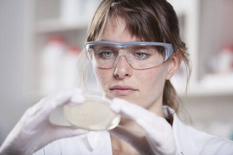 Germany, Bavaria, Munich, Scientist with petri dish in laboratory stock photo