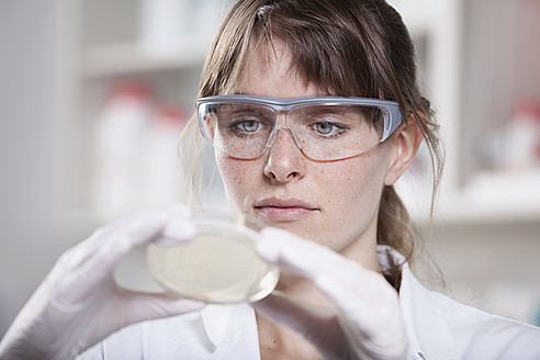 Germany, Bavaria, Munich, Scientist with petri dish in laboratory - RBF000894