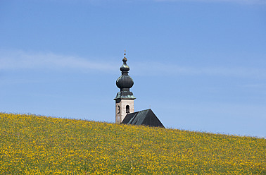 Österreich, Land Salzburg, Ansicht der Sommerholzkirche mit Feld - WWF002405