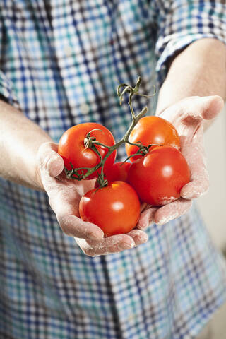 Deutschland, Berlin, Älterer Mann mit Tomaten, lizenzfreies Stockfoto