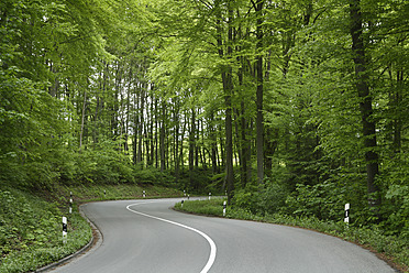 Deutschland, Bayern, Leere Straße durch Laubwald - TCF002683