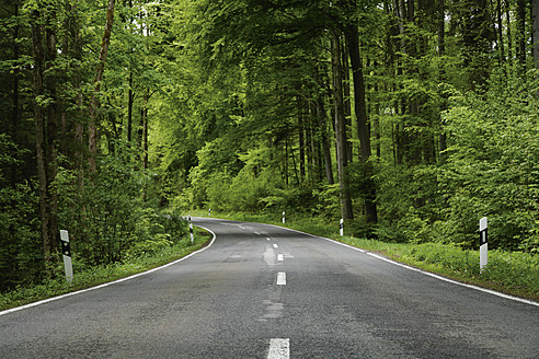 Deutschland, Bayern, Leere Straße durch Laubwald - TCF002687