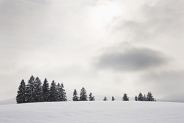 Germany, Bavaria, View of winter landscape - FLF000073