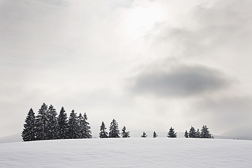 Deutschland, Bayern, Blick auf Winterlandschaft - FLF000073