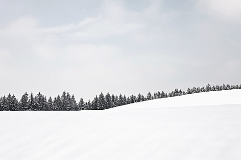 Deutschland, Bayern, Blick auf Winterlandschaft - FLF000074