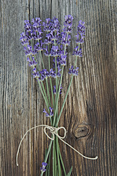 Bunch of lavender - ASF004565
