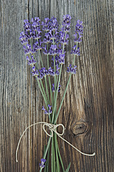 Strauß Lavendel - ASF004565