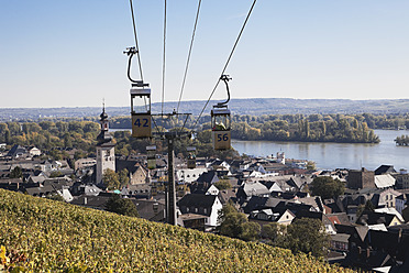 Deutschland, Rheinland-Pfalz, Rüdesheim, Blick von der Seilbahn über die Weinberge - GWF001803