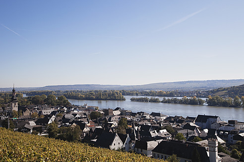 Deutschland, Rheinland-Pfalz, Ruedeheim, Blick auf Weinberge mit Rhein - GWF001804