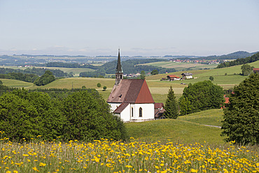 Österreich, Flachgau, Blick auf gotische Kirche - WWF002409