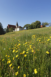 Österreich, Steiermark, Blick auf Pfarrkirche St. Marein bei Knittelfeld und Schwarzwurzelwiese - SIE002663