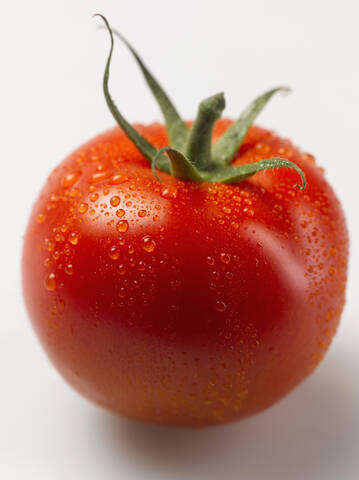 Nasse Tomate auf weißem Hintergrund, Nahaufnahme, lizenzfreies Stockfoto