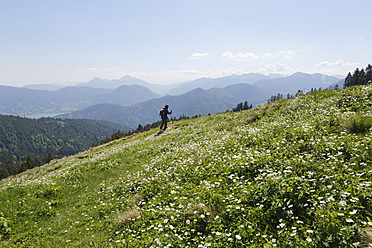 Deutschland, Bayern, Person beim Wandern auf der Gindelalmschneid, im Vordergrund Eisenhutblättriger Hahnenfuß - SIEF002693