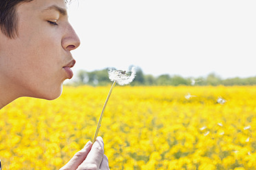 Germany, Hamburg, Teenage boy blowing dandelion, close up - MSF002677