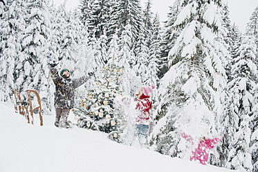 Österreich, Land Salzburg, Junge und Mädchen haben Spaß mit Weihnachtsbaum im Schnee - HHF004250