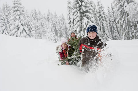 Österreich, Land Salzburg, Junge und Mädchen ziehen Weihnachtsbaum im Schnee, lizenzfreies Stockfoto