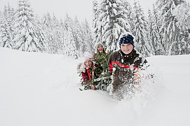 Austria, Salzburg County, Boy and girl pulling christmas tree in snow - HHF004253