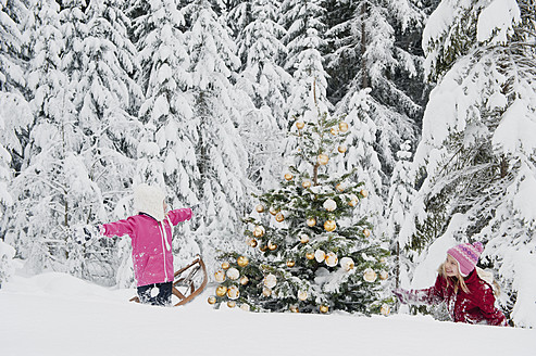 Österreich, Land Salzburg, Mädchen haben Spaß im Schnee mit Weihnachtsbaum - HHF004257