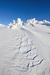 Deutschland, Bayern, Blick auf verschneite Winterlandschaft im Bayerischen Wald - FOF003909