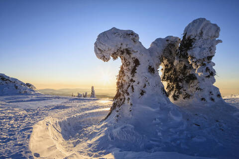 Germany, Bavaria, View of snow covered trees at Bavarian Forest stock photo