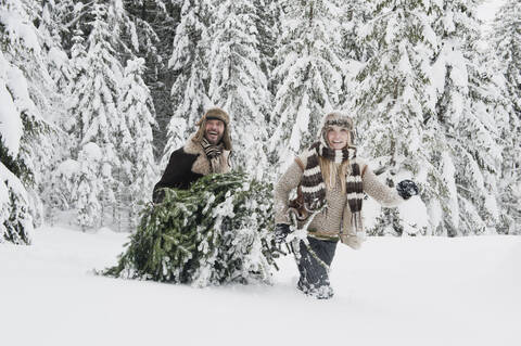 Austria, Salzburg County, Couple pulling christmas tree in winter landscape stock photo