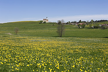 Deutschland, Bayern, Blick auf grüne Landschaft, Jenhausen, Gemeinde Seeshaupt im Hintergrund - SIEF002702