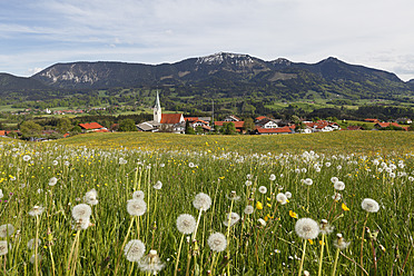 Deutschland, Bayern, Blick auf die Chiemgauer Alpen, im Hintergrund die Hochries - SIEF002706