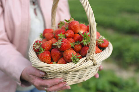 Deutschland, Sachsen, Mittlere erwachsene Frau hält Strohkorb mit Erdbeeren, Nahaufnahme, lizenzfreies Stockfoto
