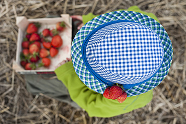 Deutschland, Sachsen, Junge mit blauem Hut hält Schachtel mit Erdbeeren - MJF000047