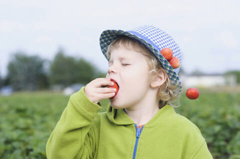 Deutschland, Sachsen, Junge isst Erdbeere im Feld, Nahaufnahme, lizenzfreies Stockfoto