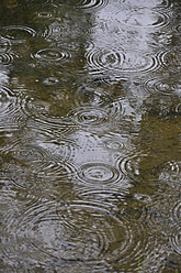 Germany, Bavaria, View of pond with raindrops - AXF000096