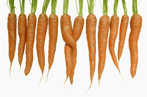 Row of carrots with two twisted carrots on white background stock photo