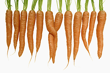 Row of carrots with two twisted carrots on white background - LRF000540