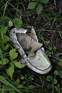 Deutschland, Alter weißer Schuh im Gebüsch - AXF000109